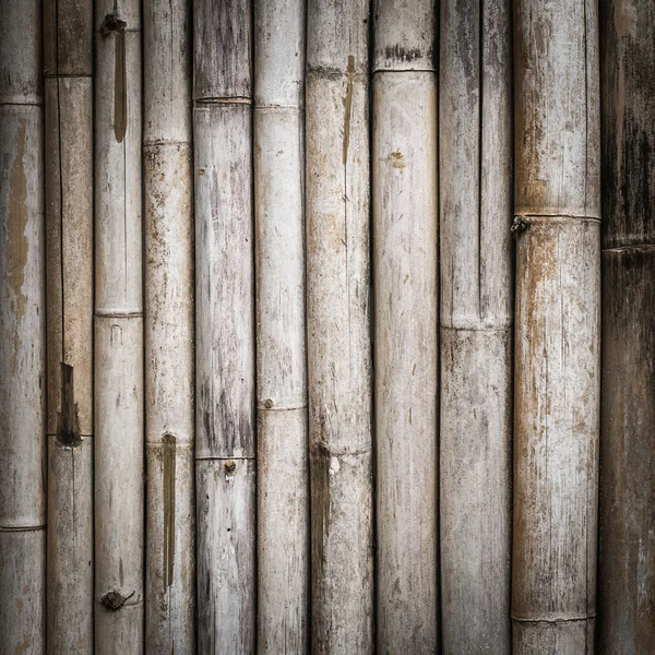Bambu çit — Stok fotoğraf