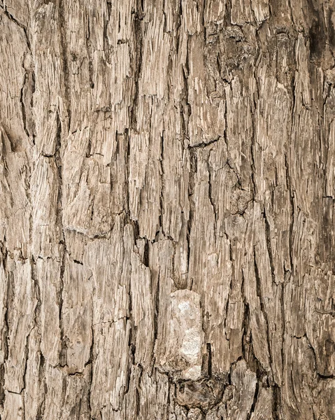 Holzstruktur — Stockfoto