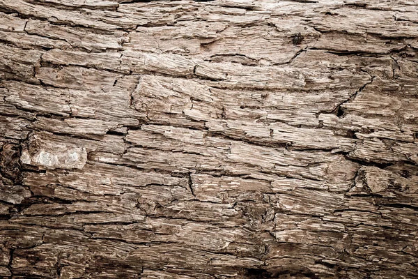 Holzstruktur — Stockfoto