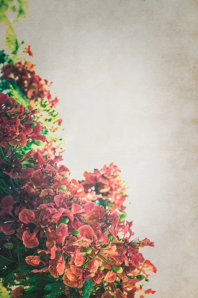 Flor llamativa sobre papel — Foto de Stock