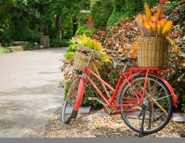 kırmızı bisiklet darden içinde