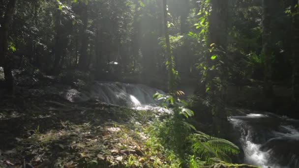 Panning Kayaların Üzerinden Akan Akıntısının Güzel Sabah Manzarasını Ağaçlık Alandaki — Stok video