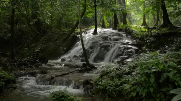 Bela Paisagem Tranquila Cachoeira Fluindo Sobre Rochas Entre Plantas Exuberantes — Vídeo de Stock