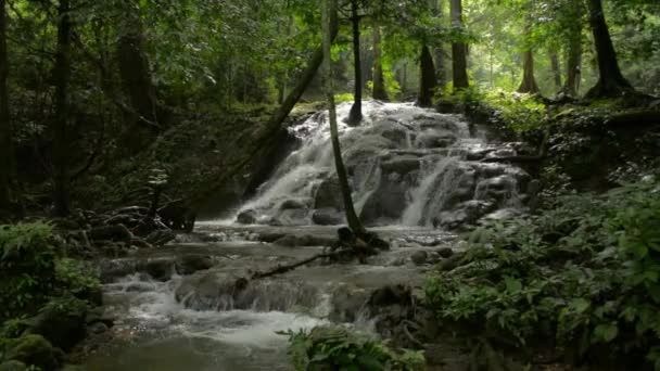 潘宁在绿树成荫的热带雨林里拍摄了美丽的小瀑布风景 热带瀑布般的水流在岩石上 在阳光下穿过茂密的叶林 张恩加省 — 图库视频影像