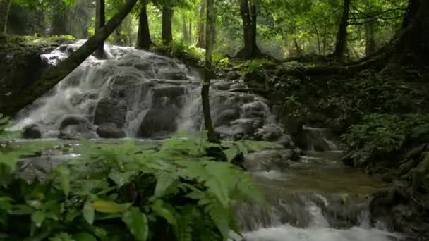 Caminhando Pela Bela Cachoeira Entre Frescura Floresta Verde Sob Sombra — Vídeo de Stock