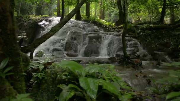 瀑布般的美丽风景 水流过岩石坡 穿过树荫下茂密的叶林 漫步在绿树成荫的林地里 丛林里隐藏着美丽的瀑布 — 图库视频影像