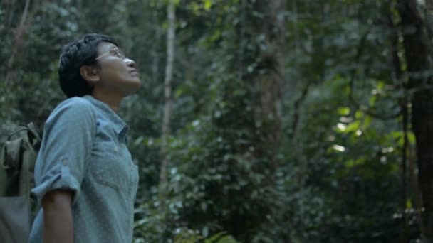 Asiatisk Kvinna Naturalist Letar Efter Riktning Utforskandet Regnskogen Thailand Resor — Stockvideo