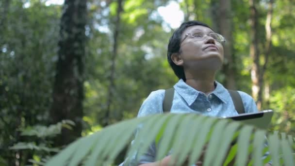 Ázsiai Női Biológus Vagy Tudós Vizsgálja Dolgozik Digitális Tabletta Erdőben — Stock videók