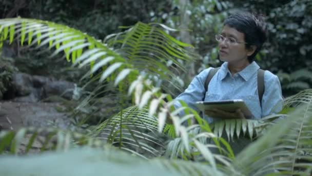 우림에서 디지털 태블릿을 사용하는 아시아 생물학 연구원 식물을 조사하고 조사한다 — 비디오