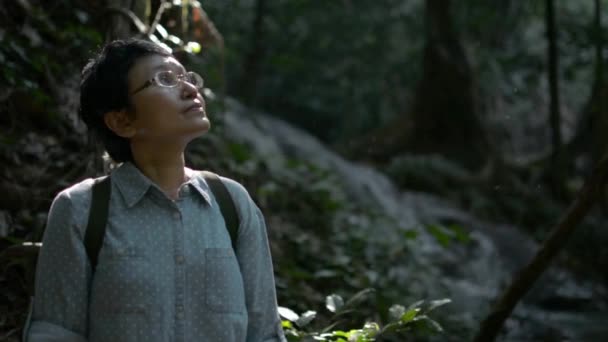 Asian Woman Tourist Backpack Standing Cascade Looking Enjoy Beautiful Scenery — Vídeo de Stock