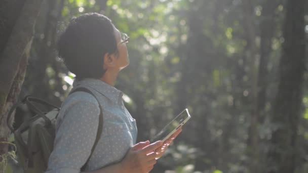 Asian Female Nature Researcher Working Digital Tablet Morning Sunlight Tropical — Wideo stockowe