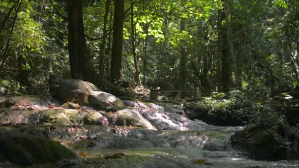 夏の熱帯林の緑豊かな木々の木陰の下で岩の上を流れる水の流れの美しい風景 自然林と小川の背景 — ストック動画