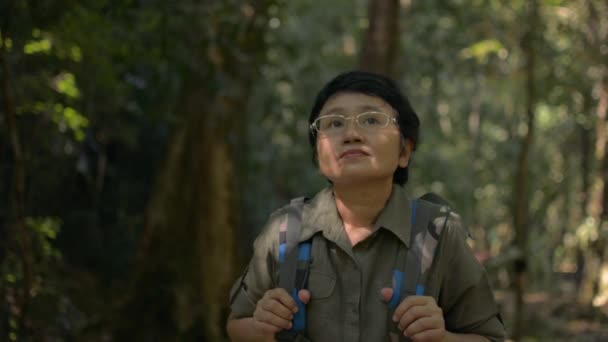 Portrait Asian Female Hiker Backpack Admire See Beautiful Environment Rainforest — Stock Video