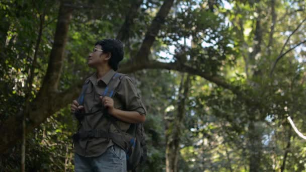 Asiatische Wanderin Mit Rucksack Die Schatten Eines Baumes Regenwald Nach — Stockvideo