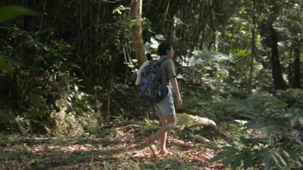 Voyageuse Asiatique Avec Sac Dos Marchant Dans Jungle Profiter Voir — Video