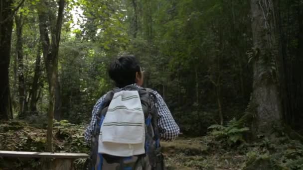 Follow Shot Woman Tourist Backpack Hiking Dense Tropical Forest Summer — Stock Video
