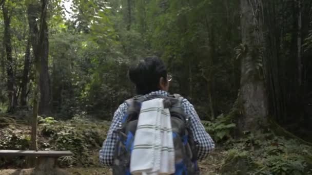 夏の日差しの下でジャングルをバックパックで歩く女性のソロハイカーの裏側から撮影した後 熱帯雨林の野生に行く旅行探検家 ソロキャンプタイ — ストック動画