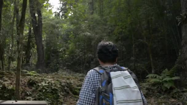夏天的早晨 一个女背包客在丛林里散步时 后面传来了下面的枪声 泰国热带森林中的单人探险 在森林里寻找大自然的安宁 旅行探险家 — 图库视频影像