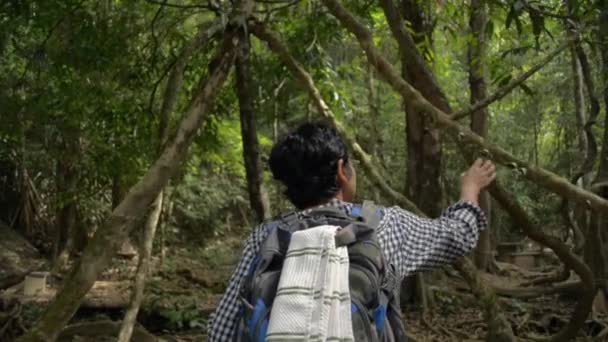 Vista Trasera Mochilera Femenina Caminando Por Selva Verano Mujer Asiática — Vídeos de Stock