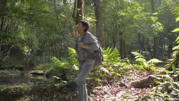 Azjatycka Turystka Plecakiem Spacerująca Przez Las Zatrzymująca Się Aby Zobaczyć — Wideo stockowe