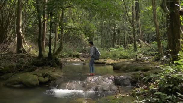 Ασιάτισσα Τουρίστρια Σακίδιο Περπατώντας Πάνω Από Ρυάκι Τοπικό Δάσος Γραφική — Αρχείο Βίντεο