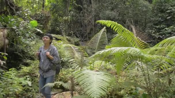 Female Nature Traveler Backpack Walking Tropical Forest Stop Wood Log — Stock Video