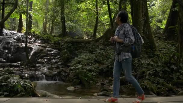 Asijská Žena Turista Batohem Procházky Tropickým Lesem Dřevěném Mostě Vychutnat — Stock video