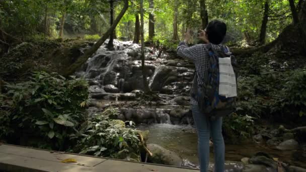 아시아 관광객들은 가방을 여름철 우림에 숨겨진 아름다운 사진을 찍는다 탐험가 — 비디오