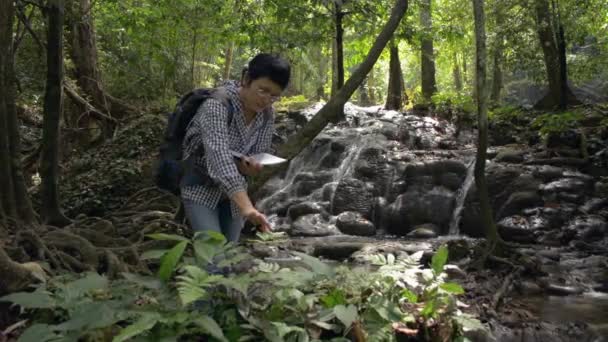 Una Ecologista Que Trabaja Cerca Cascada Bosque Inspeccionar Examinar Las — Vídeo de stock