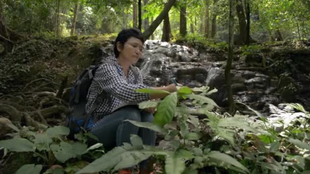 Азиатская Ботаница Изучает Собирает Биологические Данные Зеленых Растениях Которые Живут — стоковое видео