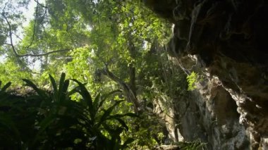 Kireçtaşı mağarasının içinden manzaralı doğa manzarası yaz boyunca tropikal ormanlarda kayaların tepesindeki güzel yeşil bitkileri görüyor. Gezgin kâşif. Yürüyüş gezisi.