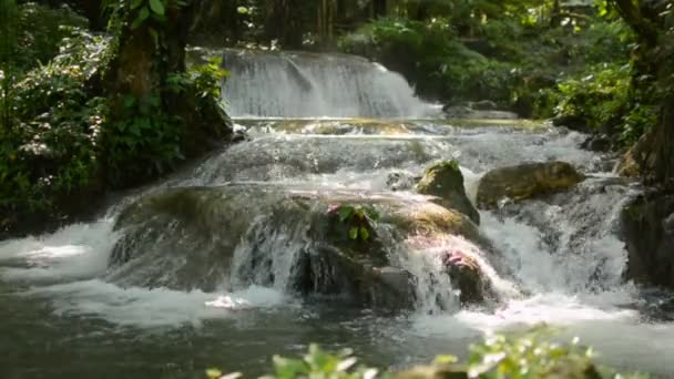 Powolny Strumień Wody Przepływający Przez Skały Przez Zielone Rośliny Tropikalnym — Wideo stockowe