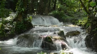Tropikal yağmur ormanlarındaki yeşil bitkilerin arasından akan su akıntısı. Sa Nang Manora şelalesinin güzel manzarası. Phang Nga Eyaleti. Tayland.