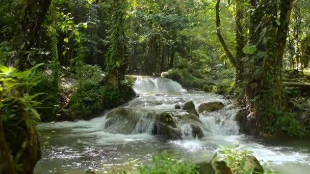 朝の日差しの下で緑の森の中を流れる水の流れと美しいカスケード 熱帯雨林の滝の静けさシーン サナンManora滝 — ストック動画