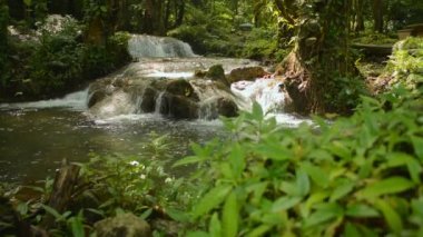 Tropikal yağmur ormanlarındaki yeşil bitkilerin arasından yosunlu kayaların üzerinden akan suyla gizli çağlayan. Vahşi doğa kaşifi. Phang Nga Eyaleti. Tayland.