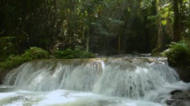 Tropikal yağmur ormanlarında çağlayanın üzerinden akan su akıntısı. Ormandaki yemyeşil bitkilerin arasında küçük şelalenin sakin manzarası. Güzel sabah vahşi doğası. Phang Nga Eyaleti. Tayland.