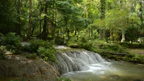 Прекрасная Сцена Плодородного Леса Южного Таиланда Водный Поток Течет Горы — стоковое видео