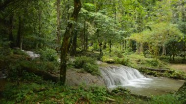 Tropikal yağmur ormanlarındaki manzara. Sabah güneşi altında kayaların üzerinden akan su akıntısı. Sa Nang Manora Orman Parkı. Phang Nga Eyaleti. Tayland.