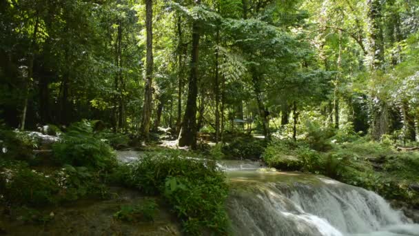 Bela Paisagem Floresta Tropical Sul Tailândia Maravilhosa Água Doce Flui — Vídeo de Stock