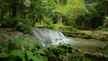 Tropikal yağmur ormanlarında su akıntısının çağlayanın üzerinden yemyeşil bitkilerin arasındaki gölete aktığı manzara. Ormanda sükunet sahnesi. Phang Nga Eyaleti. Tayland.