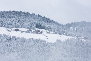 beyaz üzerine salata