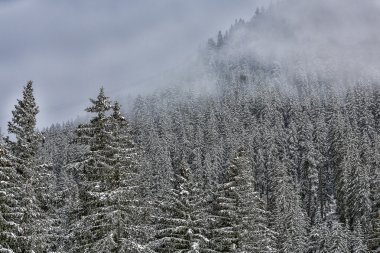 Anterselva
