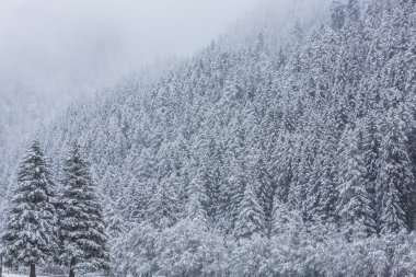 Anterselva