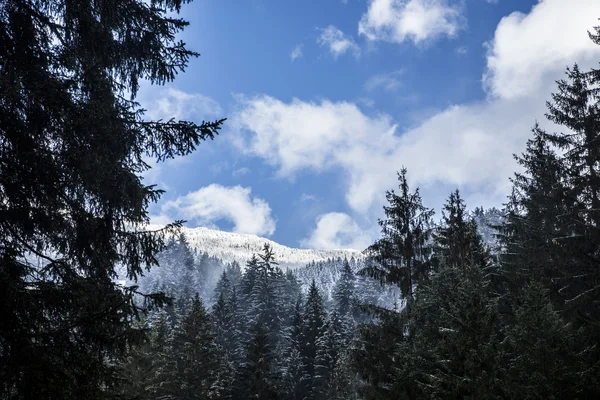 Anterselva — Stockfoto