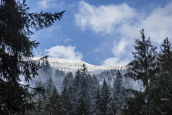 Anterselva — Zdjęcie stockowe