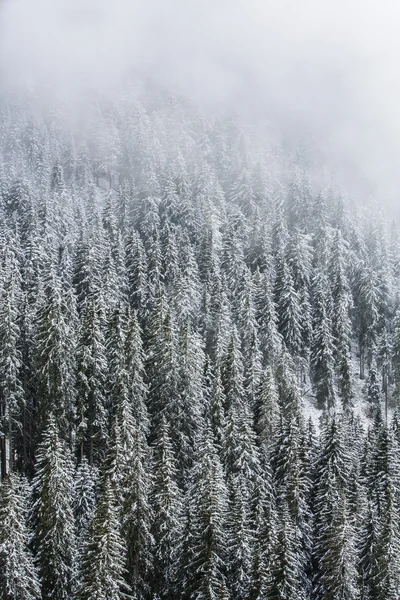 Anterselva — Stock fotografie