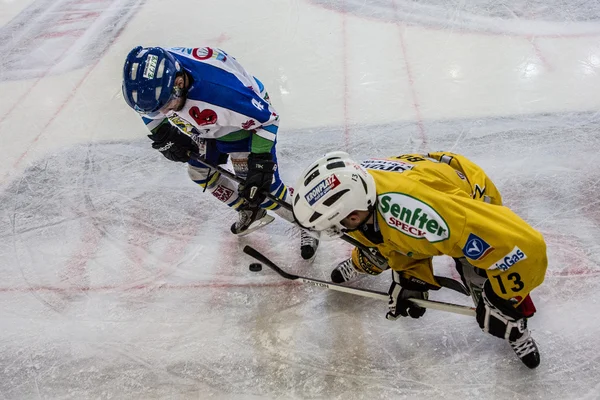 Hockey su — Foto Stock