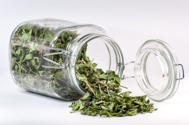 Glass container with a tea leaf spilled on table clipart