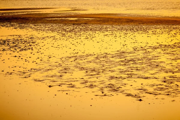 Plage de sable texturé jaune — Photo