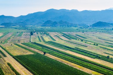 Yeşil Vadi zengin çeşit bitkileri ile blue hills ve arka planda gökyüzü ile panoramik manzaralı.